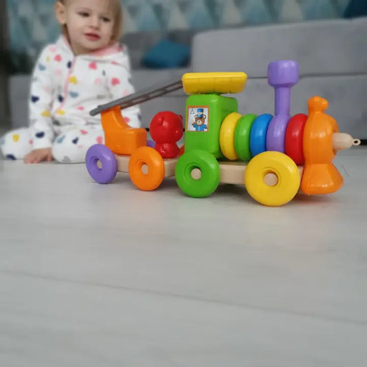 Educational Toy "Funny Train", Tigres