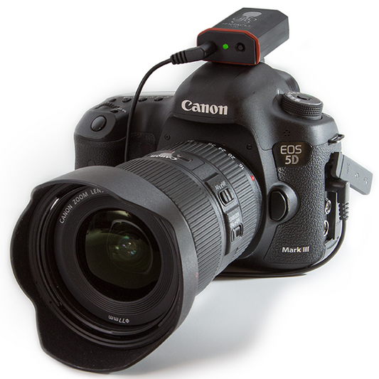 Tentacle Sync C07 Tentacle to DSLR Cable 12"