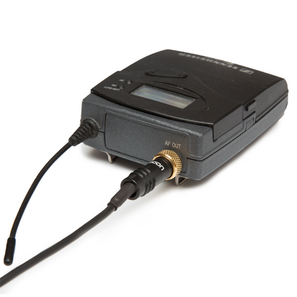Tentacle Sync C16 Tentacle & Bodypack Receiver to Camera Y-Cable 8"